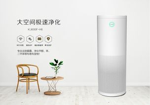 歐朗德斯 以德國匠心打造高效除醛利器，實用性深度解析